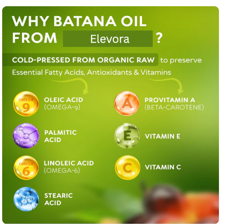 Pure Batana Oil – Expert Formula for Regrowth & Protection